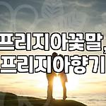 프로필 로고