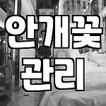 프로필 로고