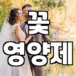 프로필 로고