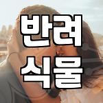 프로필 로고