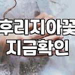 프로필 로고