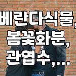 프로필 로고