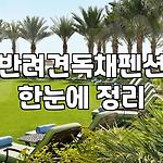 프로필 로고