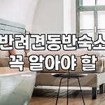 프로필 로고