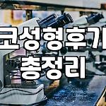 프로필 로고