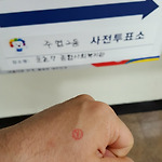 2017년 19대 대통령선거 사전투표 참여 인증