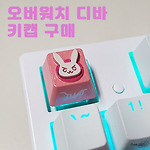 오버워치 디바 키캡 구매 및 장착
