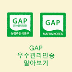 GAP 인증이란?