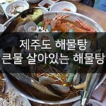 제주공항 근처 큰물 살아있는 해물탕