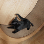 우리 집에도 캣휠을 타는 고양이가 나타났다!