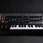 Moog Music / Subsequent 25