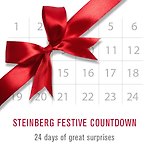 Steinberg / Festive Countdown 2017