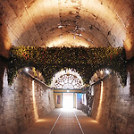 꼽사리 끼어 문경여행 #3 - 문경 오미자 테마 터널