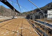 아름다운 자연과 편리한 접근성, 금산군 군북면 산안리 토지 매매 소개 관련글 썸네일