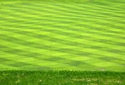 thumbnail8
