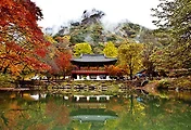 장성, 담양, 광주 힐링 여행 명소 15선 (전남, 자연, 감성, 주말여행)