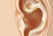 article_related_rep_thumbnail_link