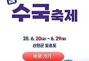 신안 섬 수국축제 완벽 가이드, 꽃길 따라 떠나는 6월