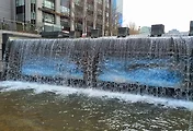 청계천 봄 풍경