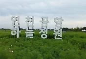 인천공항 하늘정원, 코스모스가 예쁘게 피었네요