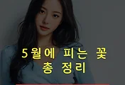 5월에 피는 꽃 총정리! 썸네일