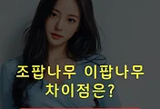 이팝나무 조팝나무 차이점 썸네일
