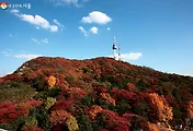 [서울 단풍] 단풍구경 가볼만한 곳, 서울 단풍길 및 서울 단풍명소