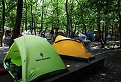향골 사진 5