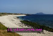 [우도여행] 산호해수욕장 / 서빈백사해수욕장 (홍조단괴해수욕장)