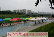 (구로/금천/광명) 안양천 물놀이장(어린이) 개장소식 및 이용안내