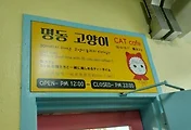 아이가 좋아하는 명동 고양이카페, 명동 가볼만한 곳