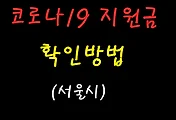 코로나19 지원금 계산기 - 서울시 간편조회 서비스