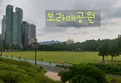 보라매공원 주말나들이하기 좋은 곳이네요