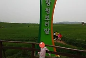 고창 청보리밭축제