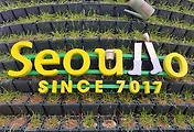 도심 속 걷기 좋은 길, 서울로 7017 겨울풍경