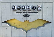 동해 가볼만한 곳, 천곡황금박쥐동굴