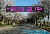 선유도공원 봄꽃 나들이