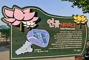 [시흥 가볼만한 곳]시흥 관곡지, 연꽃테마파크 산책
