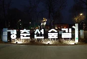경춘선숲길 (화랑대역 철도공원 노원불빛정원)