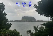 [제주여행]성산오조 지질트레일과 식산봉 오름 그리고 황근자생지