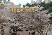 석촌호수 벚꽃이 한창인 축제현장 나들이