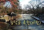 조선 최고의 정원, 창덕궁 후원의 겨울이야기