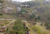 양평 가볼만한 곳, 두메향기 / 두메향기 별빛축제 안내