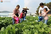 서울시, 귀농지원사업으로 '서울농장'을 운영한다는 소식입니다.