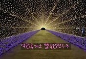 덕평자연휴게소 별빛정원우주, 빛축제 너무 예쁘네요