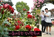 [서울축제]서울대공원 장미원축제