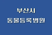 썸네일-SW-DMBW-BS