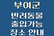 썸네일-부여군 강아지 출입 가능 식당, 카페, 펜션, 반려동물 동반 관람, 체험, 여행지 안내