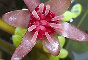 article_related_rep_thumbnail_link