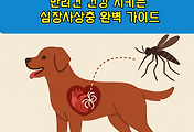 썸네일-/entry/%EB%B0%98%EB%A0%A4%EA%B2%AC-%EA%B1%B4%EA%B0%95-%EC%A7%80%ED%82%A4%EB%8A%94-%EC%8B%AC%EC%9E%A5%EC%82%AC%EC%83%81%EC%B6%A9-%EC%99%84%EB%B2%BD-%EA%B0%80%EC%9D%B4%EB%93%9C